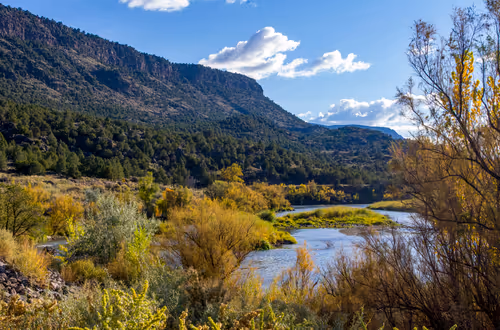 Item #69779279793312991240489662721218422936190169407892673104950858322877381345281 Media