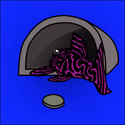 81664083123670143983968740139941474364733981378414170565535213254163879165953