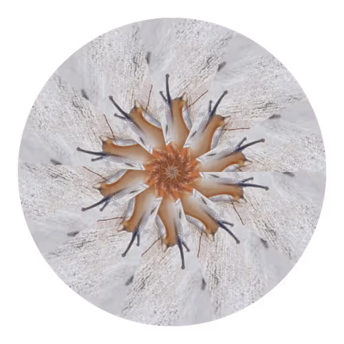 Item #73474911565276893363269127585336255498112534630235322163062143165612613959681 Media