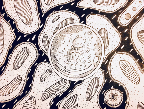 Item #17752813538632554106301407676530730129436292109624139555446564121652978778113 Media