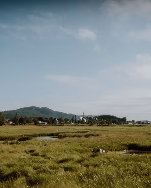 Item #84187683161901868737511018211766444110537923242733545241103395000765760143361 Media