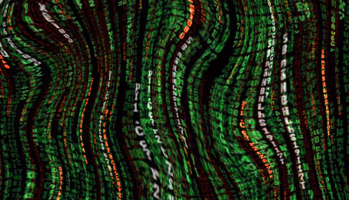 WhiteLion61 Collection