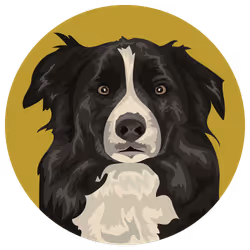 54766349128176429303044182404049584425310907481653304317570413824279704502273