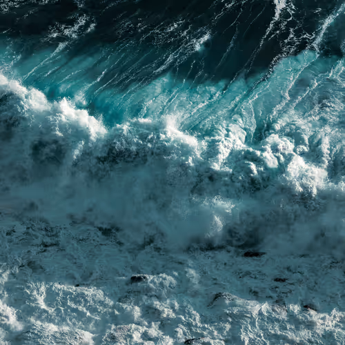 Jaime Del Pizzo Editions