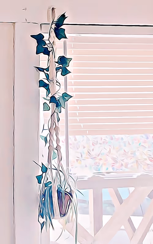 Item #101057092378302225736757120765437198261046760691228806068408149983675967078401 Media