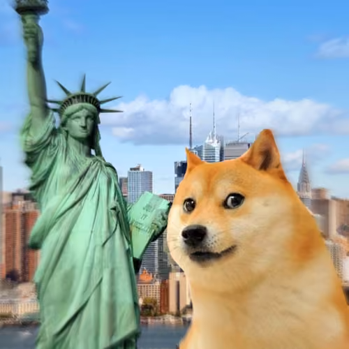 Doge New York