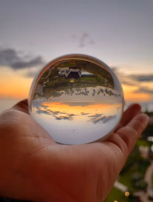 Item #82121040310152858271611695185726862598573823480924774186434391320802499756033 Media