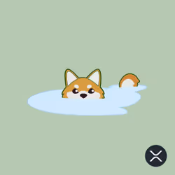 Shiba Inu XRP #33