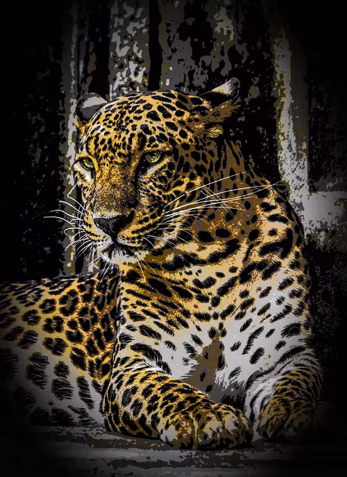 Item #112706814490930413132795555787302569515543672113453404084317514498589769859073 Media