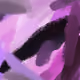 71854653085326910642891328312305026768187375088867759570433383352314483441665