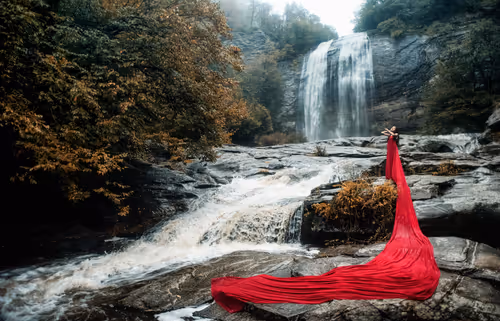 Item #78738558394879565749295301770975625214035895041037527328958806089942433792001 Media