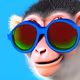 47747039793673574628566519089513520255900537304749944505325548301425695522817