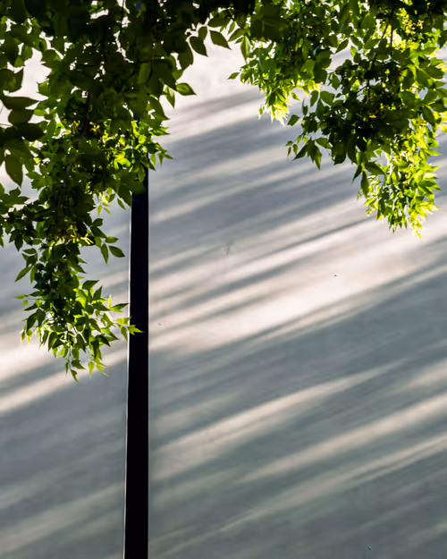 Item #51991000564731806426304991163973552890948149476527189035891736119978961666049 Media