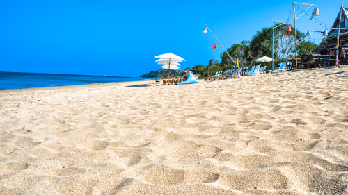 Elvie-Lins Collection