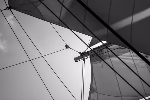 Item #34110083671509346653453586160941404072216291014688644284046702324111489630209 Media