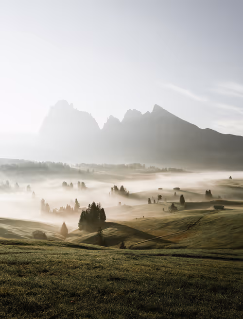 Item #38924576034191534483918035384894481257816568024027157043695321821804826198017 Media