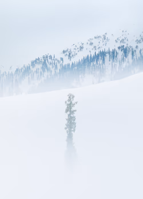 Item #100125324817140700473098673733568876555088890877521994710768706059508631207937 Media