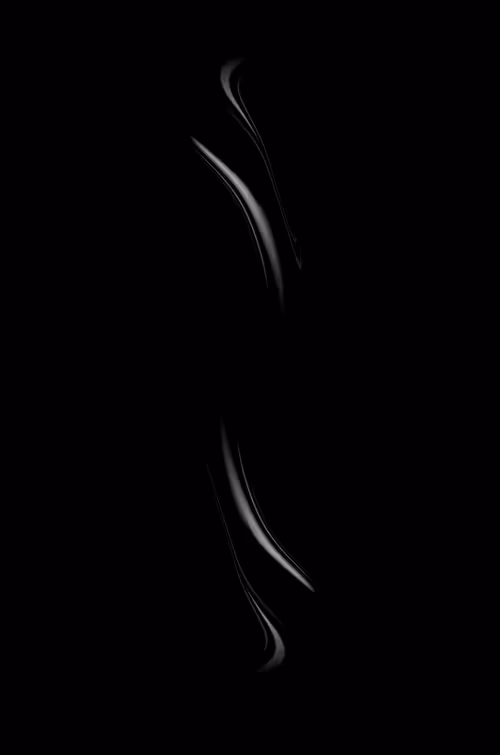 Item #9351634682665689389367476982724677407274331680287171452292321530105257000961 Media