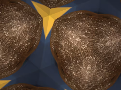 Item #69376820955182207634374405090115864776049539168882178084902512069133306167297 Media