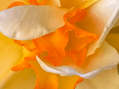 Untitled Collection #30134365