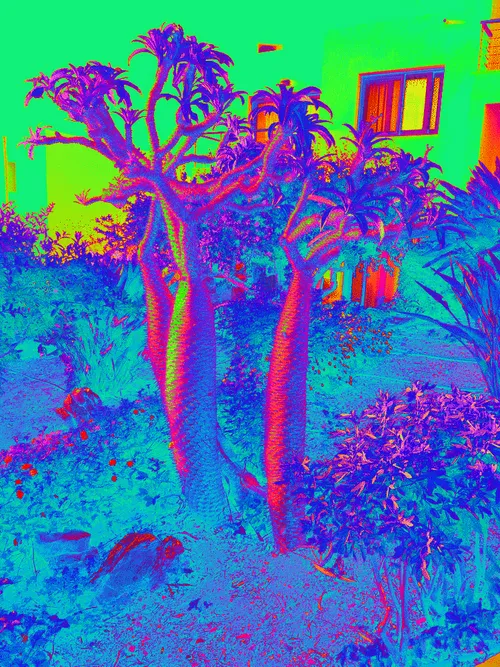 Item #101239175893145639054056242637210843896777145344555774754222291468349412999169 Media