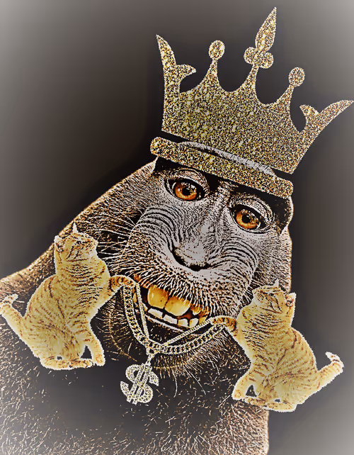 Item #14841988310440250522005790873620147993191226798072072988279030962382067204097 Media