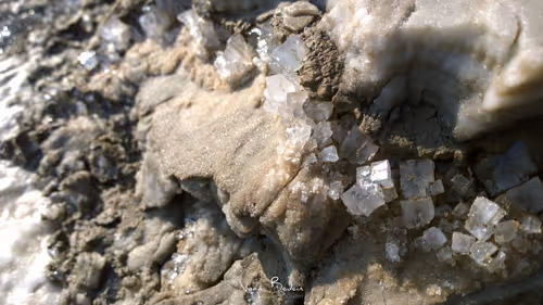 Item #95487849317578156668407947813270977219507958341613575813230836729431925456897 Media