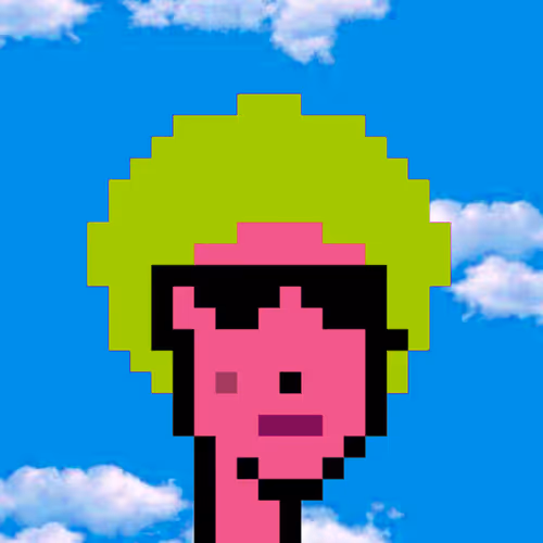 Punks Into Sky