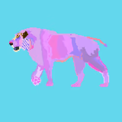 crypto Lion 