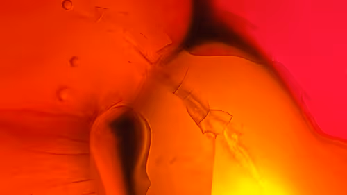 Item #101722242459461766671850244672997948412133570446471513908012687120913498374145 Media