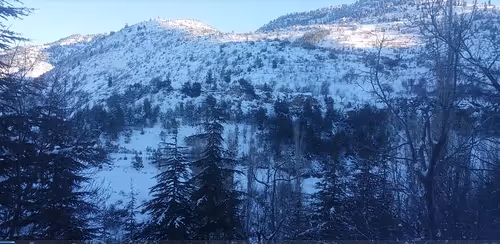 MYSTIC WINTER MOMENTS #1