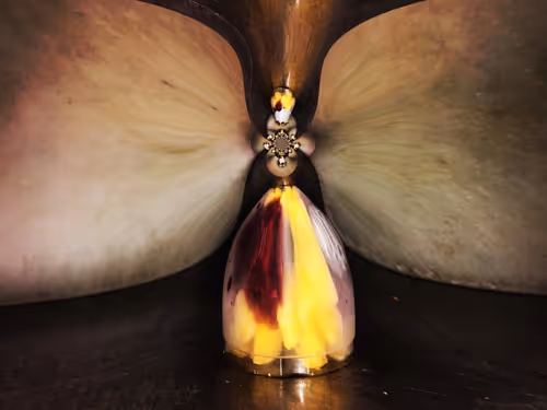 Item #67457553150443021914092587022250176347061355639032054621716075920084235714561 Media