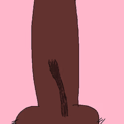 ETH C0CK "10 F0LL0WER C0CK"