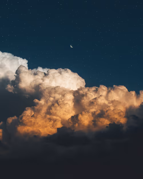 Item #9516099056367242152996622501750151802451978225621664057436231462151516061697 Media