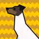 49927897516348827239645255077494365505859971497241116447769534530802679808001