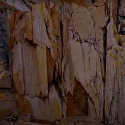 Ethmoid Canyon