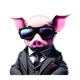 17902287779161282474328900403529297242487832615905142887724911772787701458704