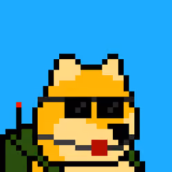 Dooggie #2253