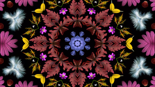 Item #114567358423953626281537788403819853891642458412316118477611090120706438987777 Media