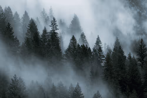 Nothing But Landscapes