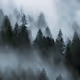 Nothing But Landscapes