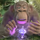 39042168130197418417412347975346666522665429220798439096974762116908601835620