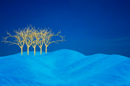 Item #82086394152813496729852745644400301310809698688948886085589871394432590282753 Media