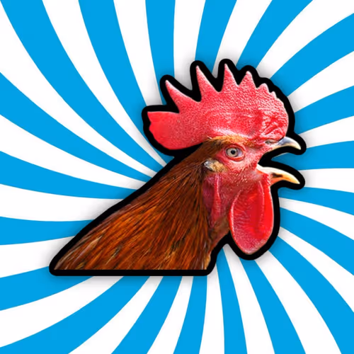 Rooster Man