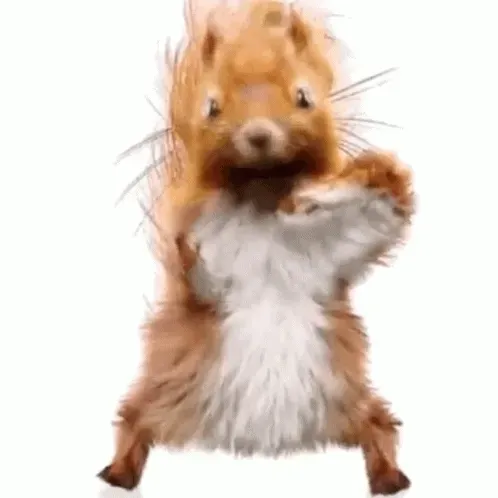 Dancing Squirrel