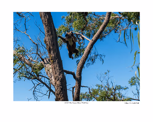 Item #24600310660482288606297797528155087939323639147399647196853483709510004506625 Media