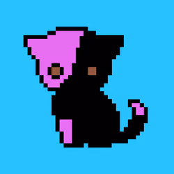 11355676361451116457623572656982329091976316790344320223361388822158909636609