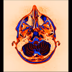 64162533542198579898252916190583583845604629893829087458582975778777854902273