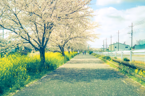 Item #87724672545568216492349628543176573267958151988335217142690977297127668973569 Media