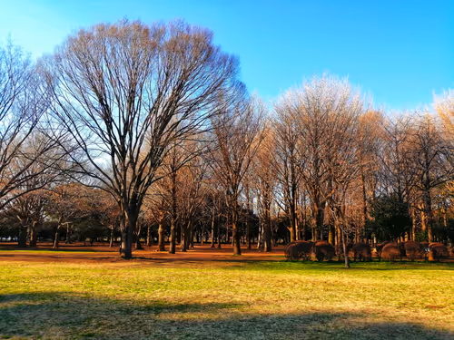 Item #79831549831465427225524286830239879772490055006654572578863530751640779882497 Media